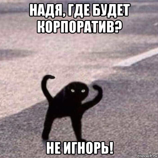 надя, где будет корпоратив? не игнорь!