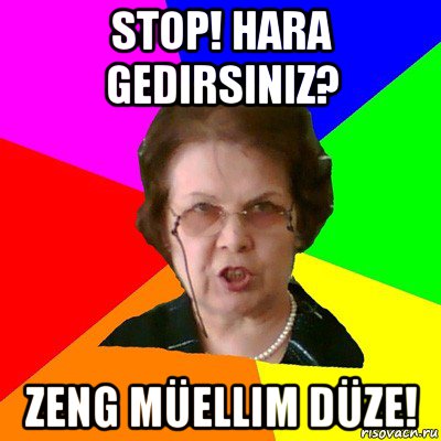 stop! hara gedirsiniz? zeng müellim düze!, Мем Типичная училка