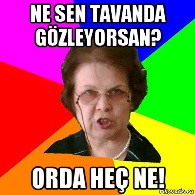 ne sen tavanda gözleyorsan? orda heç ne!, Мем Типичная училка