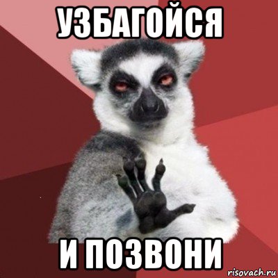 узбагойся и позвони, Мем Узбагойся