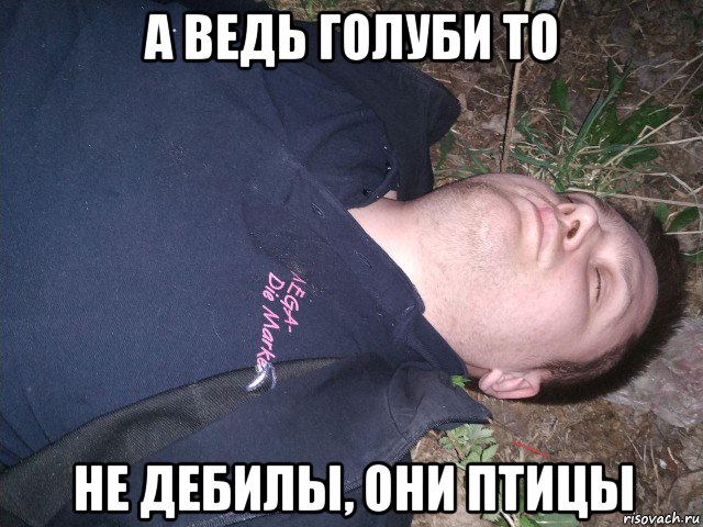 а ведь голуби то не дебилы, они птицы, Мем Владик5