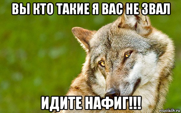 вы кто такие я вас не звал идите нафиг!!!, Мем   Volf