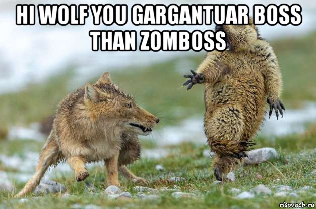 hi wolf you gargantuar boss than zomboss , Мем Волк и суслик