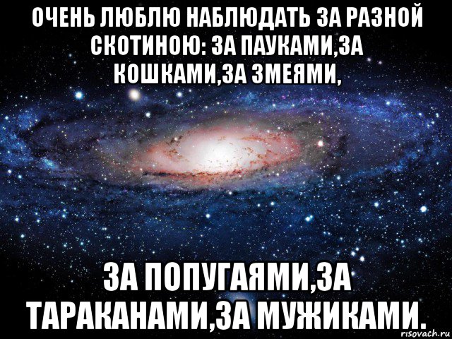 очень люблю наблюдать за разной скотиною: за пауками,за кошками,за змеями, за попугаями,за тараканами,за мужиками.