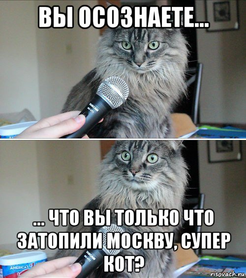 вы осознаете... ... что вы только что затопили москву, супер кот?