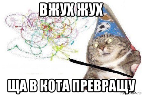 вжух жух ща в кота превращу, Мем Вжух мем