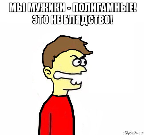 мы мужики - полигамные! это не блядство! 
