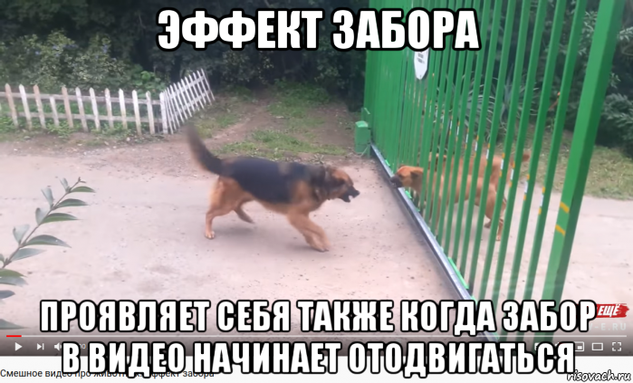 эффект забора проявляет себя также когда забор в видео начинает отодвигаться, Мем Явление природы - Эффект забора