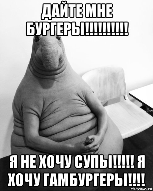 дайте мне бургеры!!!!!!!!!! я не хочу супы!!!!! я хочу гамбургеры!!!!, Мем  Ждун