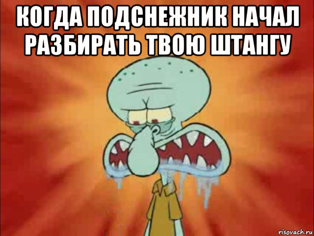 когда подснежник начал разбирать твою штангу 