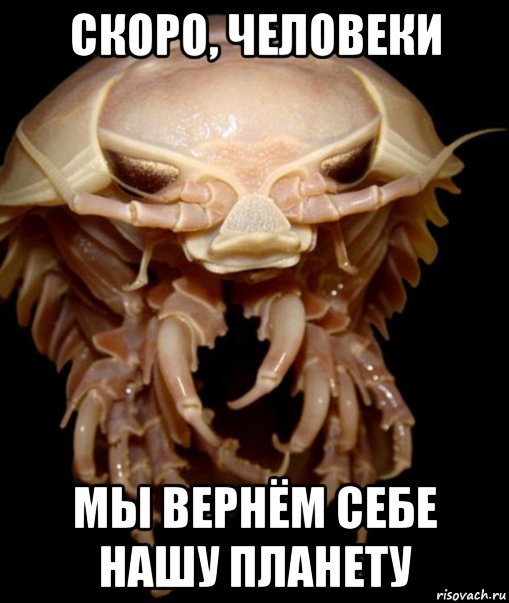 скоро, человеки мы вернём себе нашу планету, Мем 1