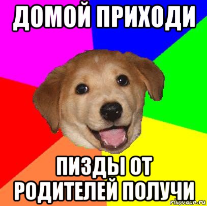 домой приходи пизды от родителей получи, Мем Advice Dog