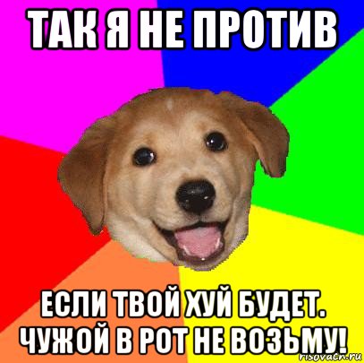 так я не против если твой хуй будет. чужой в рот не возьму!, Мем Advice Dog