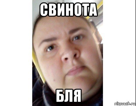 свинота бля