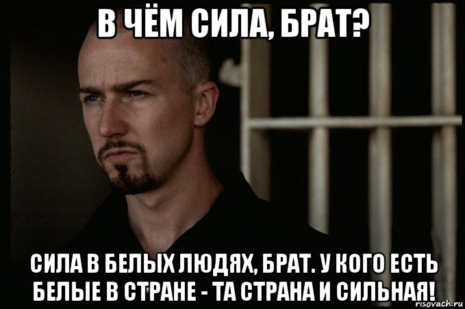 в чём сила, брат? сила в белых людях, брат. у кого есть белые в стране - та страна и сильная!, Мем Американская история икс