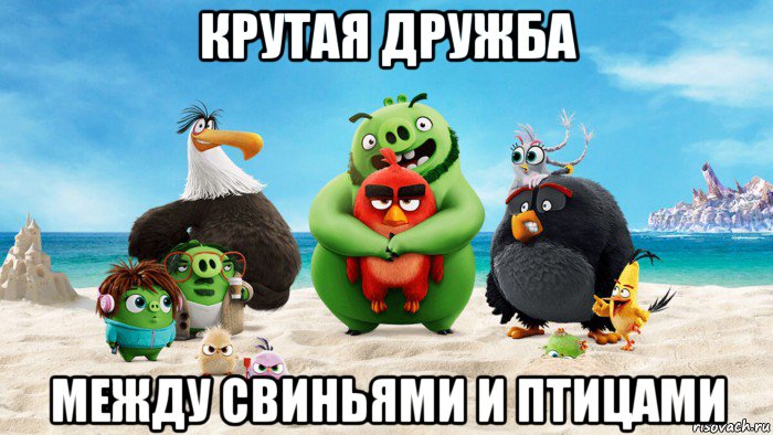 крутая дружба между свиньями и птицами, Мем Angry birds