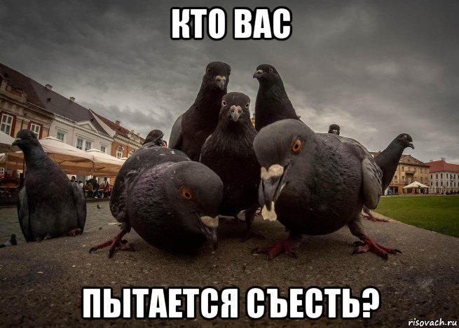 кто вас пытается съесть?
