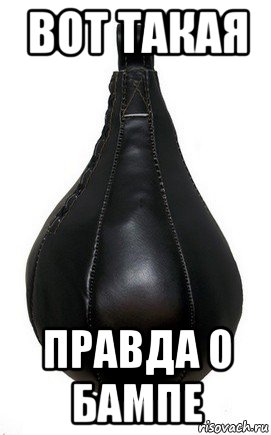 вот такая правда о бампе, Мем Боксерская груша