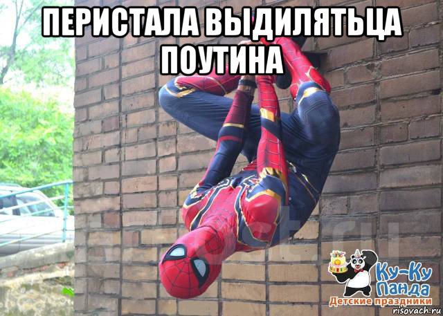 перистала выдилятьца поутина , Мем Человек паук