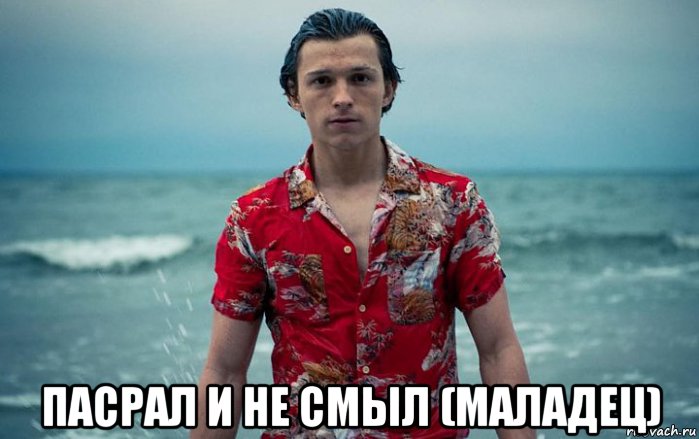 пасрал и не смыл (маладец), Мем Человек паук