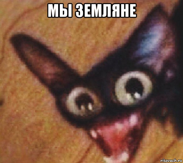 мы земляне 