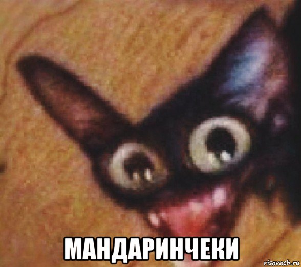  мандаринчеки