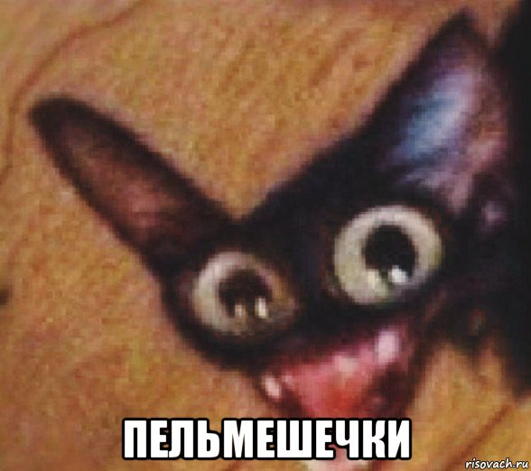  пельмешечки