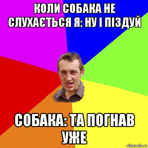 коли собака не слухається я: ну і піздуй собака: та погнав уже, Мем Чоткий паца