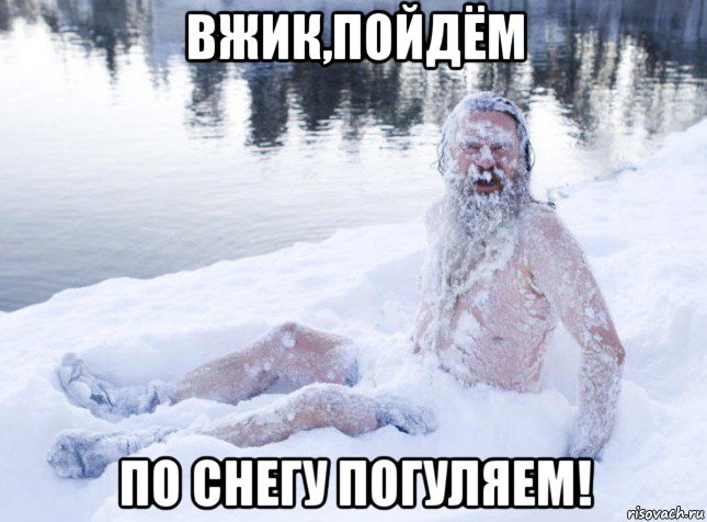 вжик,пойдём по снегу погуляем!, Мем Ded