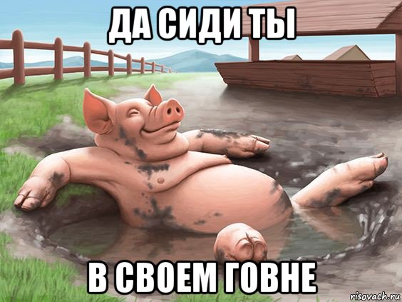 да сиди ты в своем говне