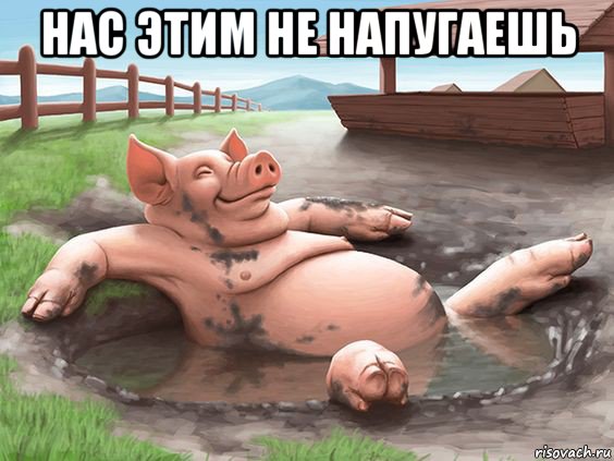 нас этим не напугаешь 