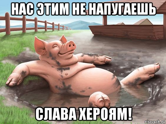 нас этим не напугаешь слава хероям!
