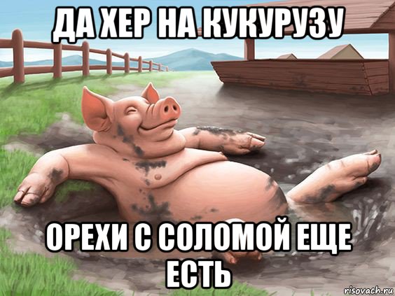 да хер на кукурузу орехи с соломой еще есть