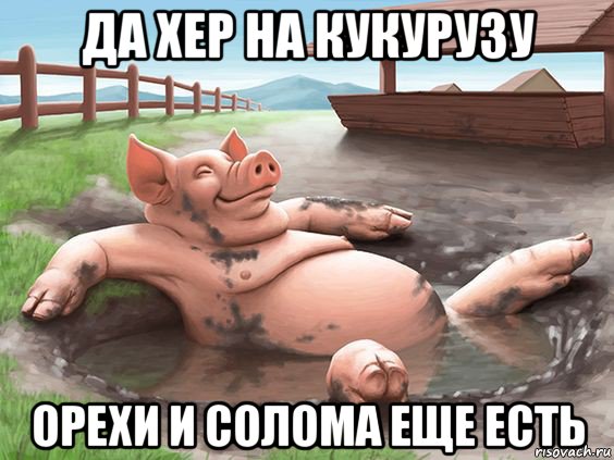 да хер на кукурузу орехи и солома еще есть