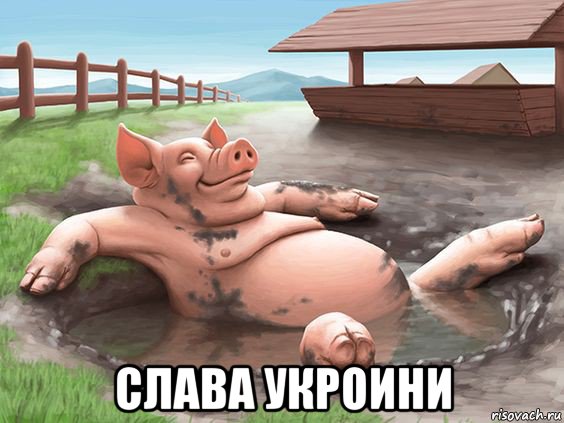  слава укроини
