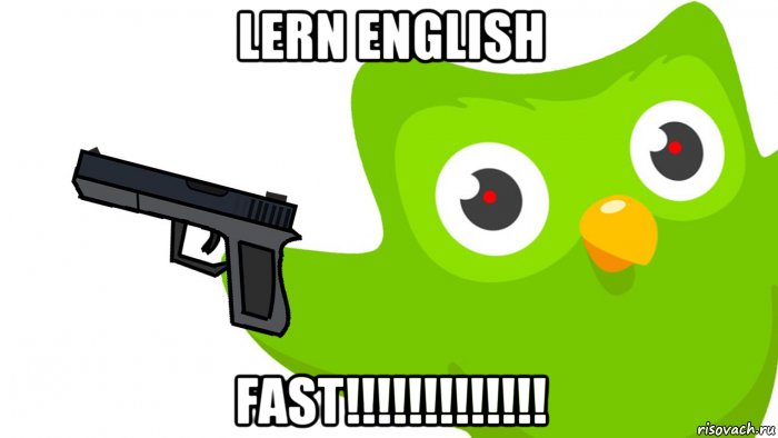 lern english fast!!!!!!!!!!!!!, Мем Duolingo плохого не делает