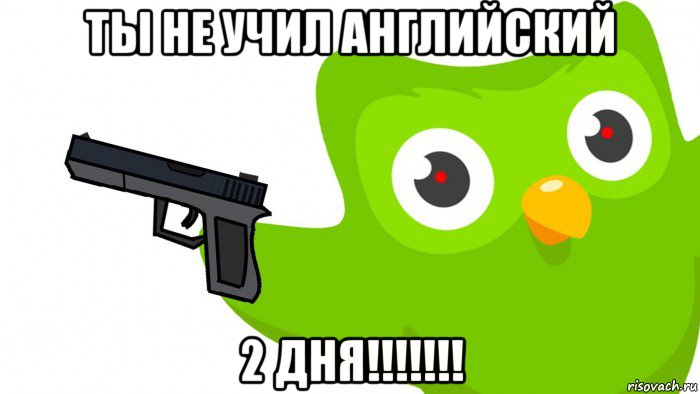 ты не учил английский 2 дня!!!!!!!, Мем Duolingo плохого не делает