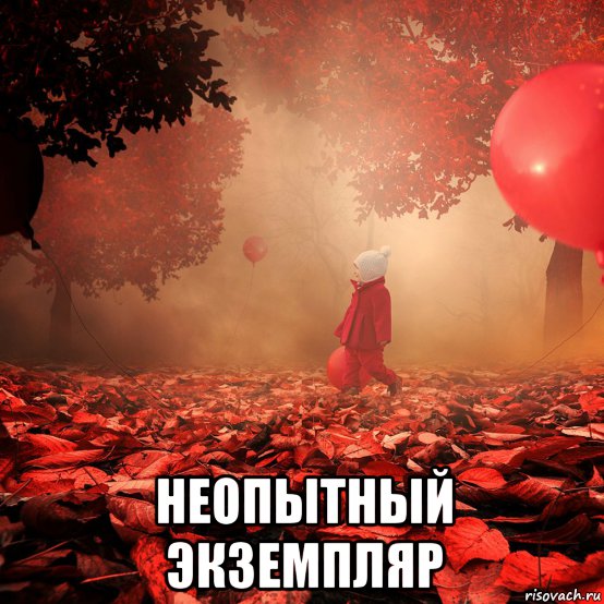  неопытный экземпляр, Мем Экз