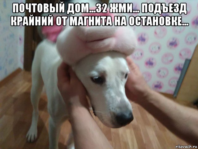 почтовый дом...32 жми... подъезд крайний от магнита на остановке... , Мем Гг