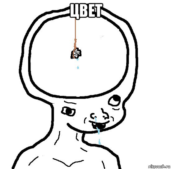 цвет 