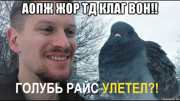 аопж жор тд клаг вон!! , Мем Голубь Райс и компания ГОЛУБЬ РАЙС УЛЕТЕЛ