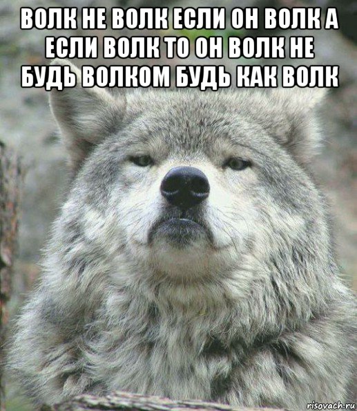 волк не волк если он волк а если волк то он волк не будь волком будь как волк 