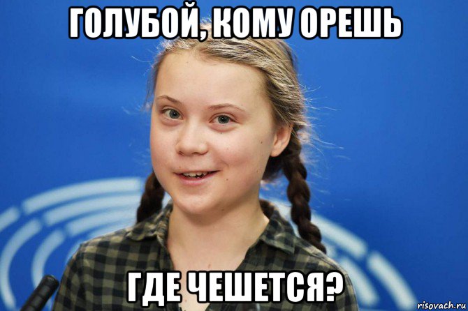 голубой, кому орешь где чешется?