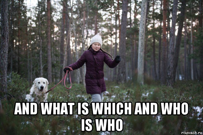  and what is which and who is who, Мем GRETA