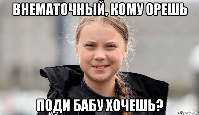 внематочный, кому орешь поди бабу хочешь?, Мем Greta