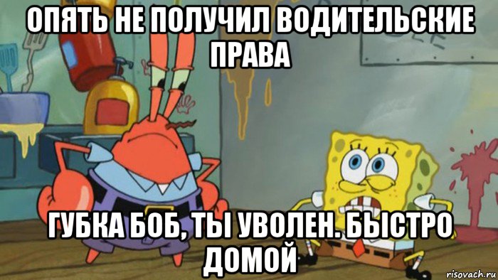 опять не получил водительские права губка боб, ты уволен. быстро домой, Мем Губка Боб уволен
