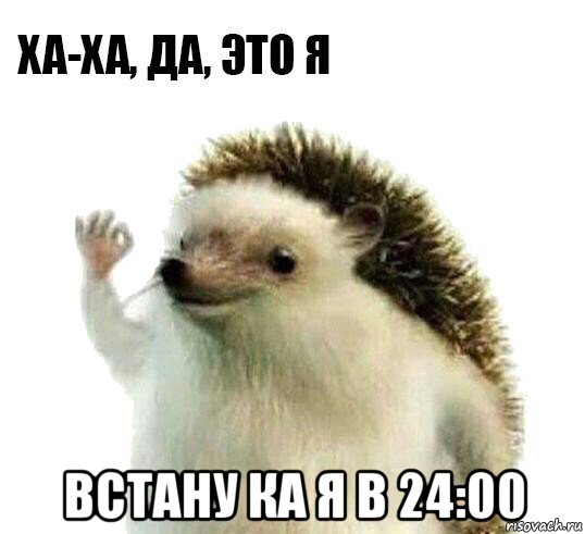  встану ка я в 24:00, Мем Ха-ха да это я