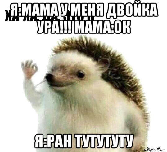 я:мама у меня двойка ура!!! мама:ок я:ран тутутуту, Мем Ха-ха да это я