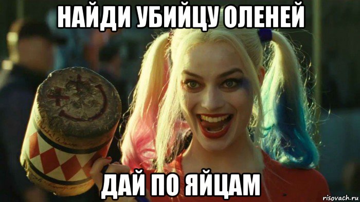 найди убийцу оленей дай по яйцам, Мем    Harley quinn