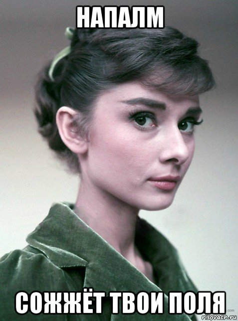 напалм сожжёт твои поля, Мем Hepburn